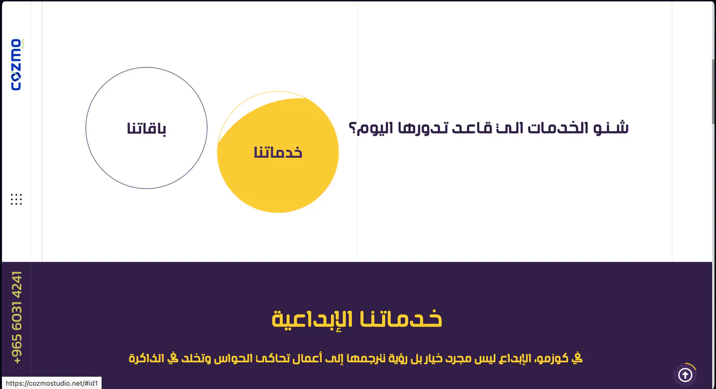 The services section of cozmostudio.net.
